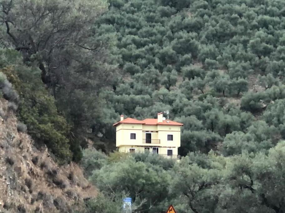 Pelion Mountain & Sea Villa - Private Studio Ano Gatzea Екстериор снимка