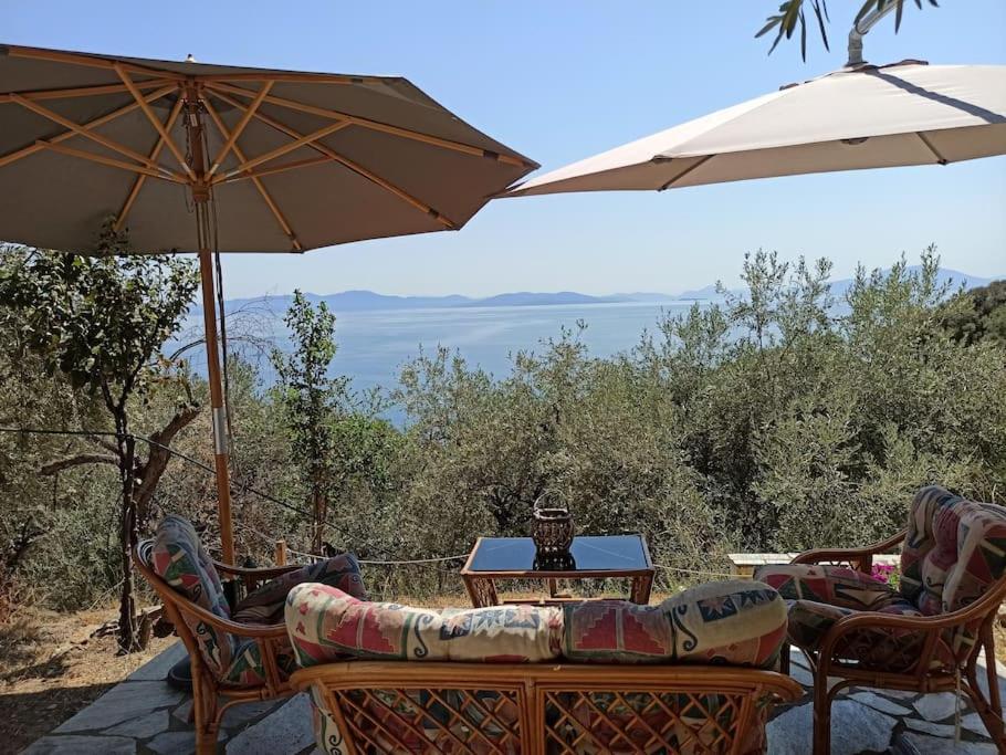 Pelion Mountain & Sea Villa - Private Studio Ano Gatzea Екстериор снимка