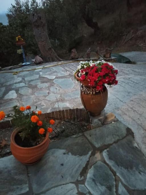 Pelion Mountain & Sea Villa - Private Studio Ano Gatzea Екстериор снимка