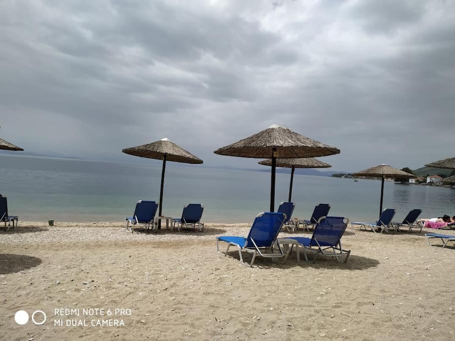 Pelion Mountain & Sea Villa - Private Studio Ano Gatzea Екстериор снимка