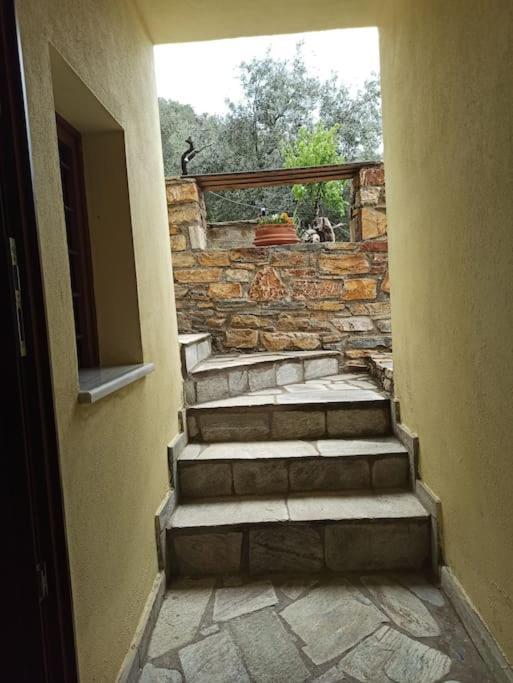 Pelion Mountain & Sea Villa - Private Studio Ano Gatzea Екстериор снимка